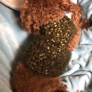 Dog sweater